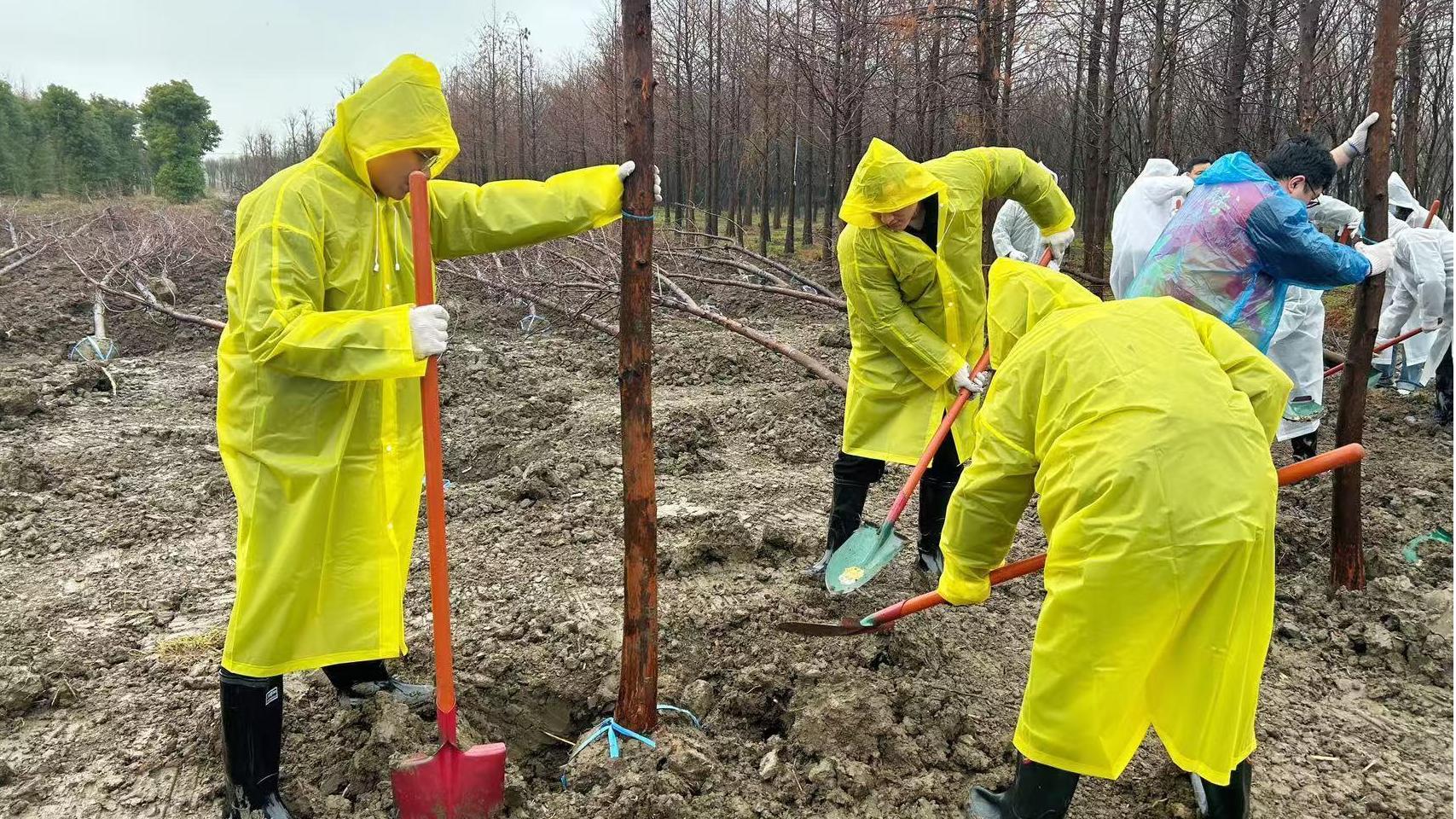 植樹節(jié) | 種下綠色希望，我們在行動！