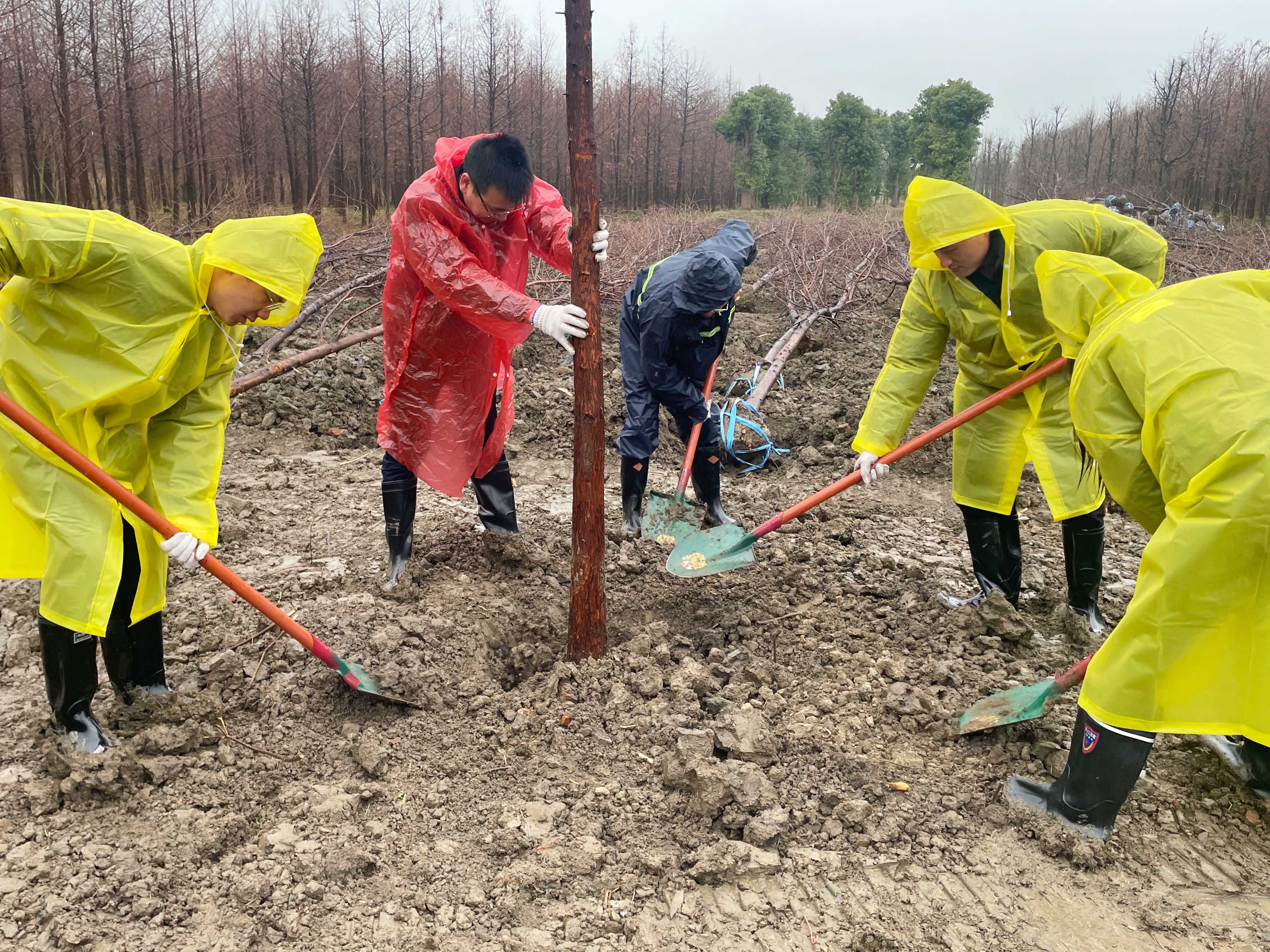 1741856048889294.jpg 1741856048889294.jpg